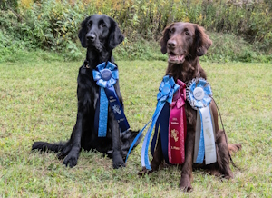 NE 25 10 Cäthe Selma